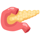 external pancreas-human-organs-justicon-flat-justicon icon