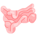 external small-intestine-human-organs-justicon-flat-justicon icon