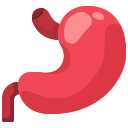 external stomach-human-organs-justicon-flat-justicon icon