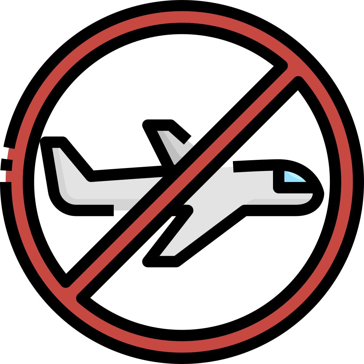 airplane icon