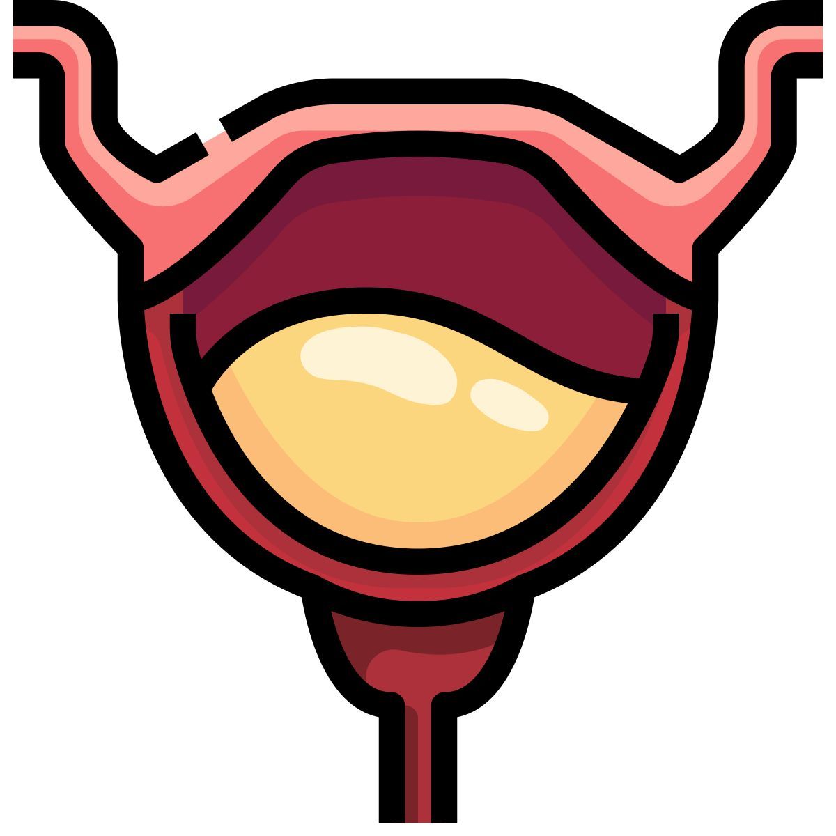 bladder icon