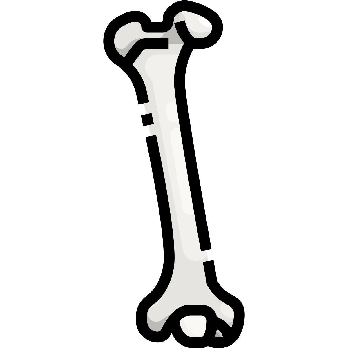 Hueso icon