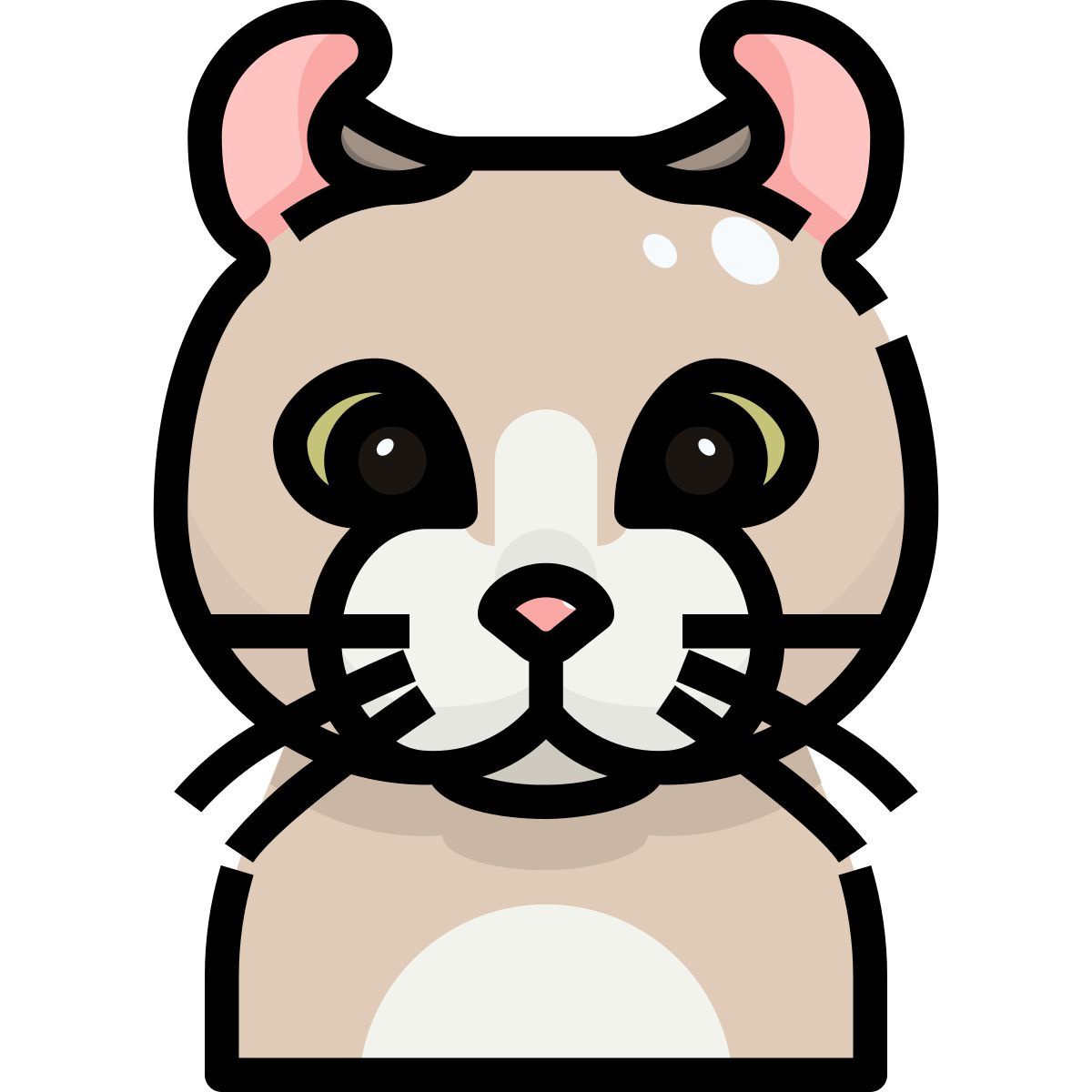 猫 icon
