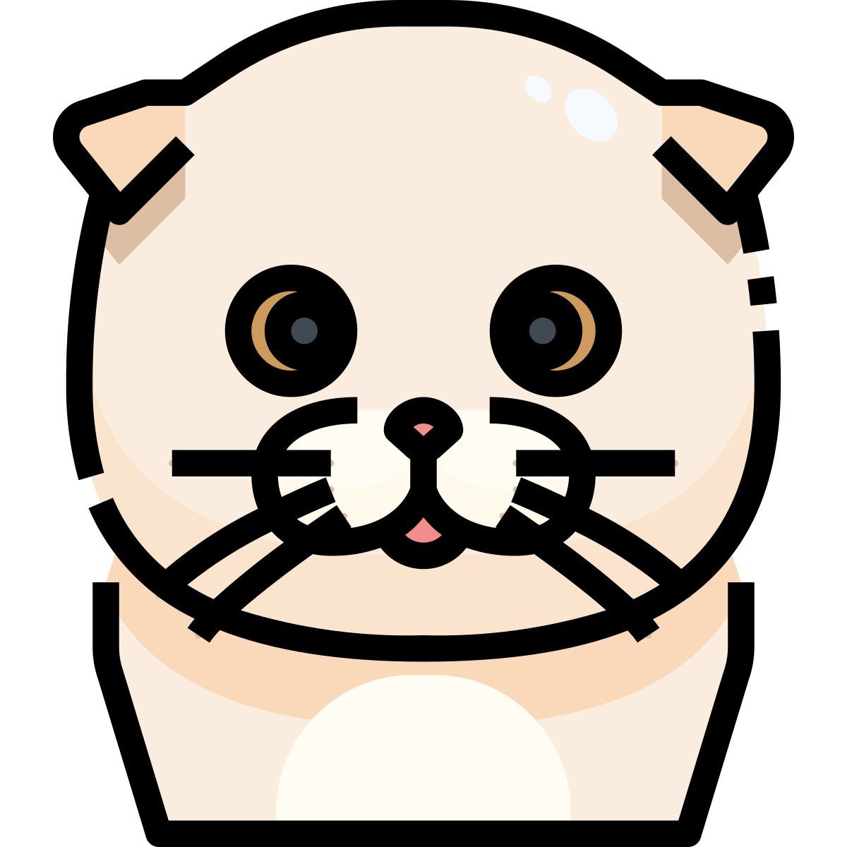 猫 icon