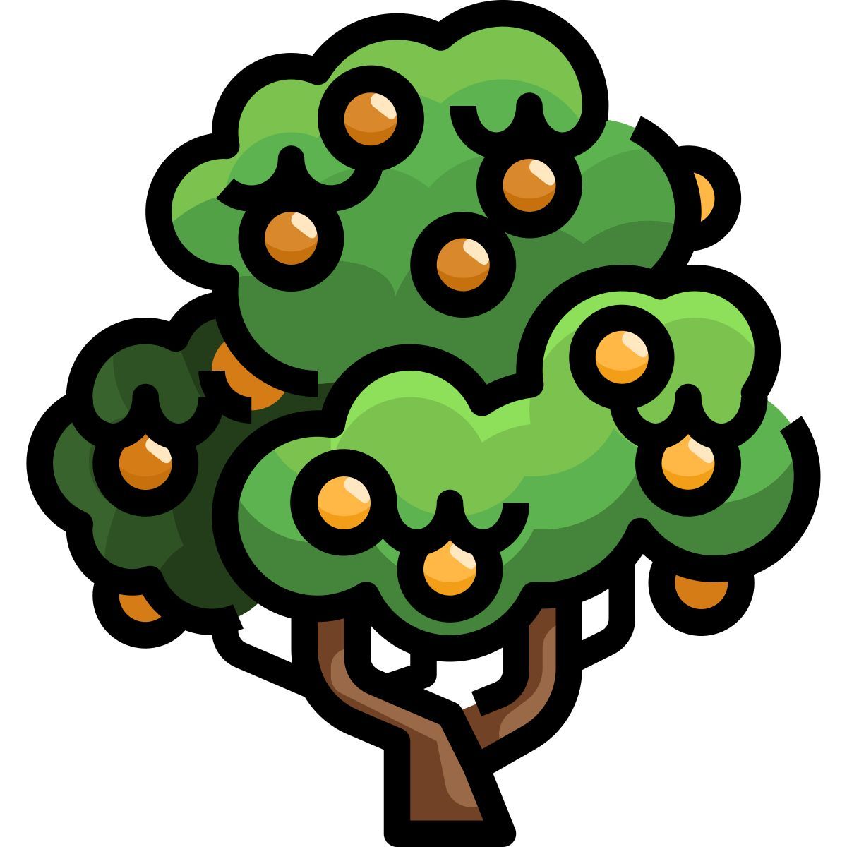 fruit tree icon