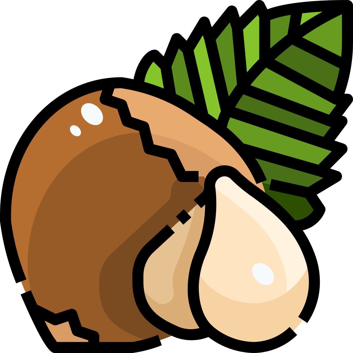 hazelnut icon