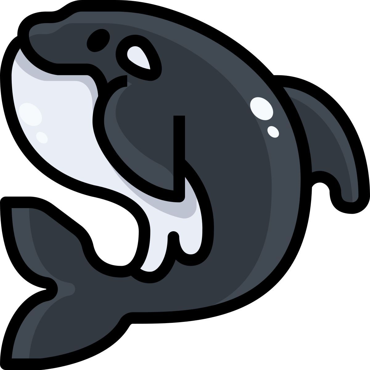 killer whale icon
