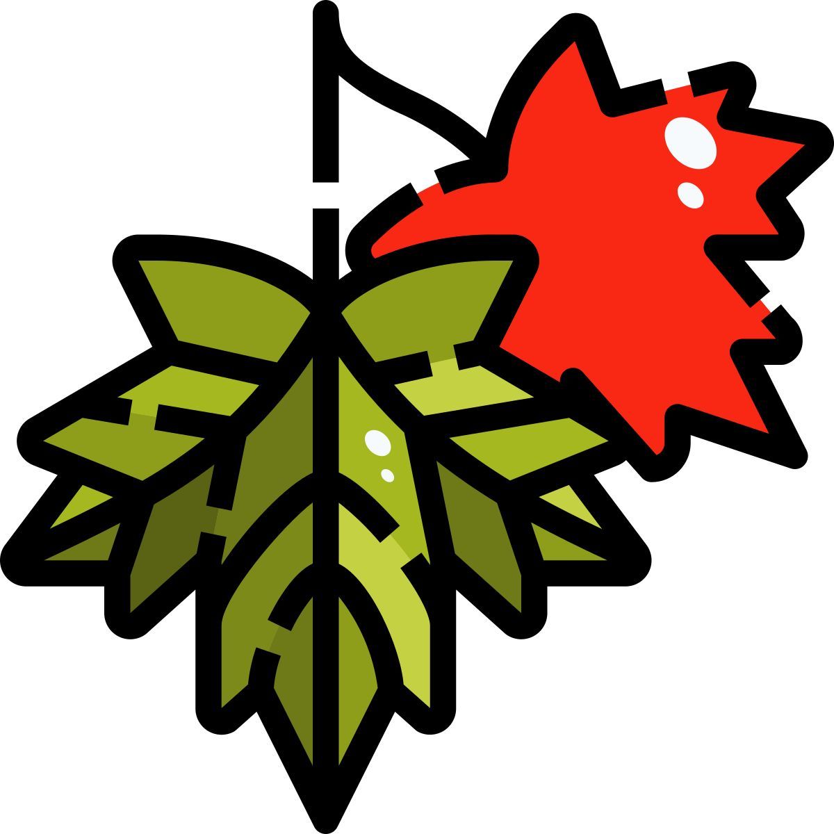 maple leaf icon