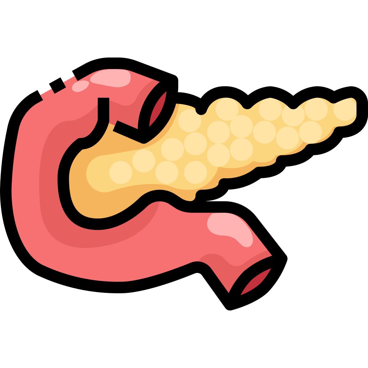 pancreas icon