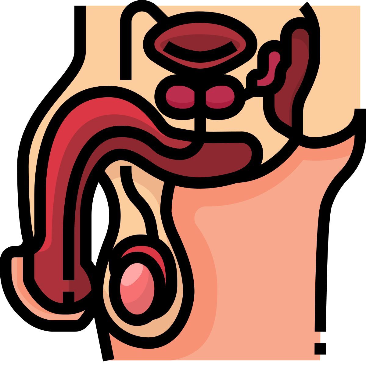 reproductive icon