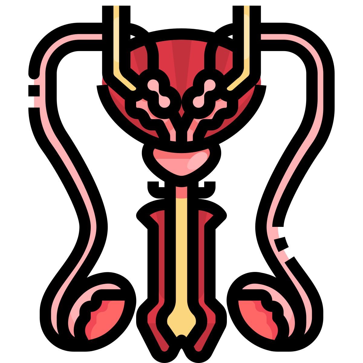 reproductive icon