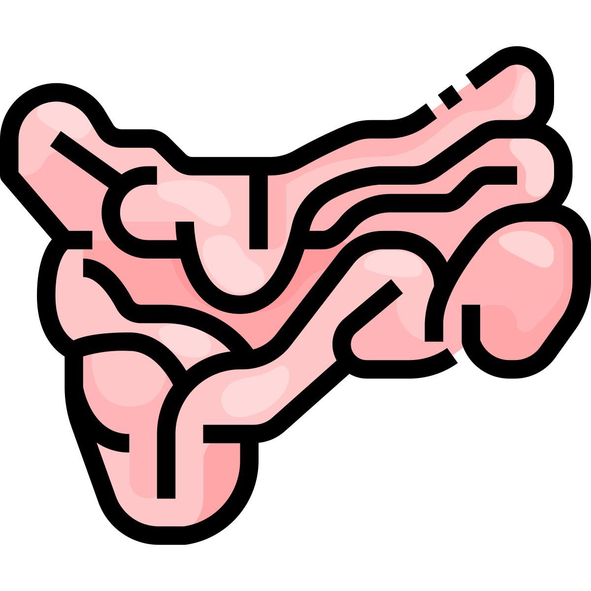 small intestine icon