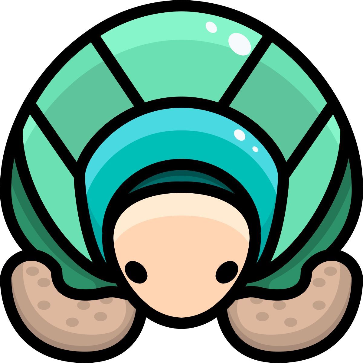 turtle icon