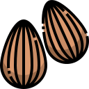 external almond-healthy-food-and-vegan-justicon-lineal-color-justicon icon