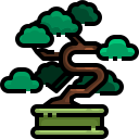 external bonsai-tree-justicon-lineal-color-justicon icon