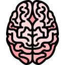 external brain-human-organs-justicon-lineal-color-justicon-1 icon