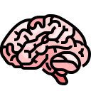 external brain-human-organs-justicon-lineal-color-justicon icon