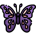 external butterfly-woman-day-justicon-lineal-color-justicon icon
