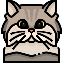 external cat-dog-and-cat-justicon-lineal-color-justicon icon