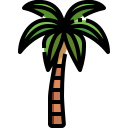 external coconut-tree-tree-justicon-lineal-color-justicon icon