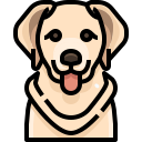 external dog-dog-and-cat-justicon-lineal-color-justicon-1 icon