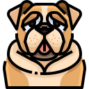 external dog-dog-and-cat-justicon-lineal-color-justicon-2 icon