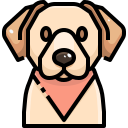 external dog-dog-and-cat-justicon-lineal-color-justicon icon