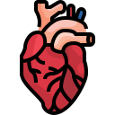 external heart-human-organs-justicon-lineal-color-justicon icon