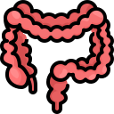 external intestine-human-organs-justicon-lineal-color-justicon icon