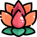 external lotus-diwali-justicon-lineal-color-justicon icon