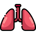 external lungs-hospital-justicon-lineal-color-justicon icon