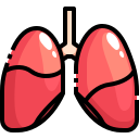 external lungs-human-organs-justicon-lineal-color-justicon icon