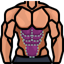 external male-fitness-gym-justicon-lineal-color-justicon icon