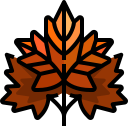 external maple-leaf-autumn-season-justicon-lineal-color-justicon icon