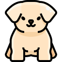 external puppy-animal-justicon-lineal-color-justicon icon