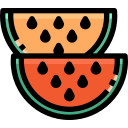 external watermelon-japan-justicon-lineal-color-justicon icon