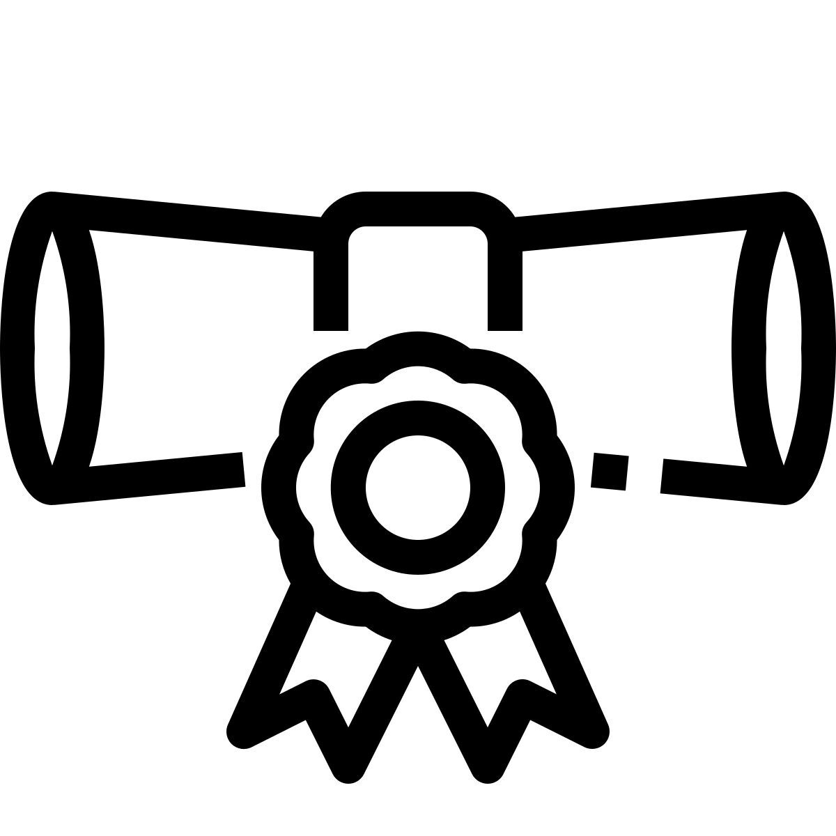 certificate icon