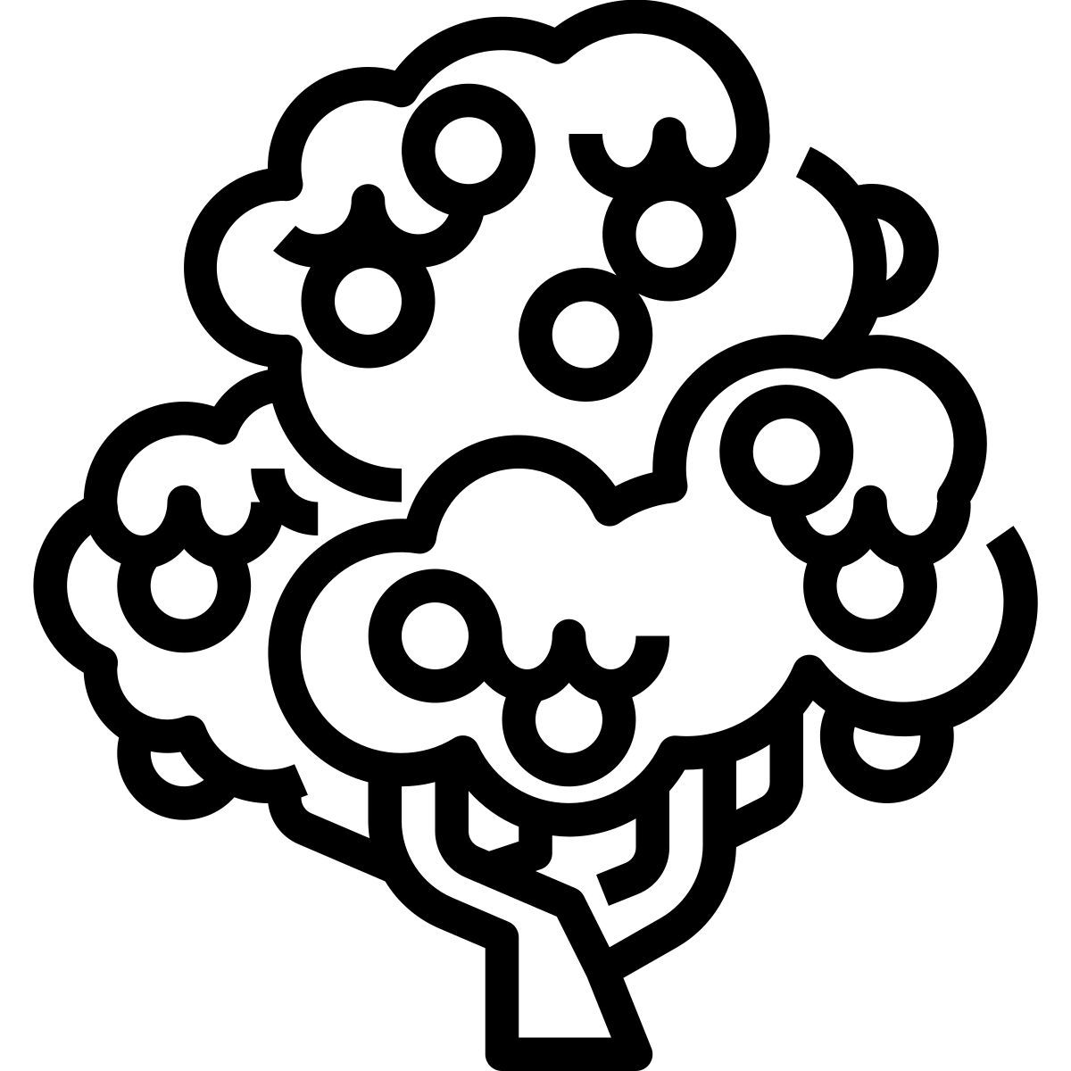 piantagione dell'albero di cioccolato icon