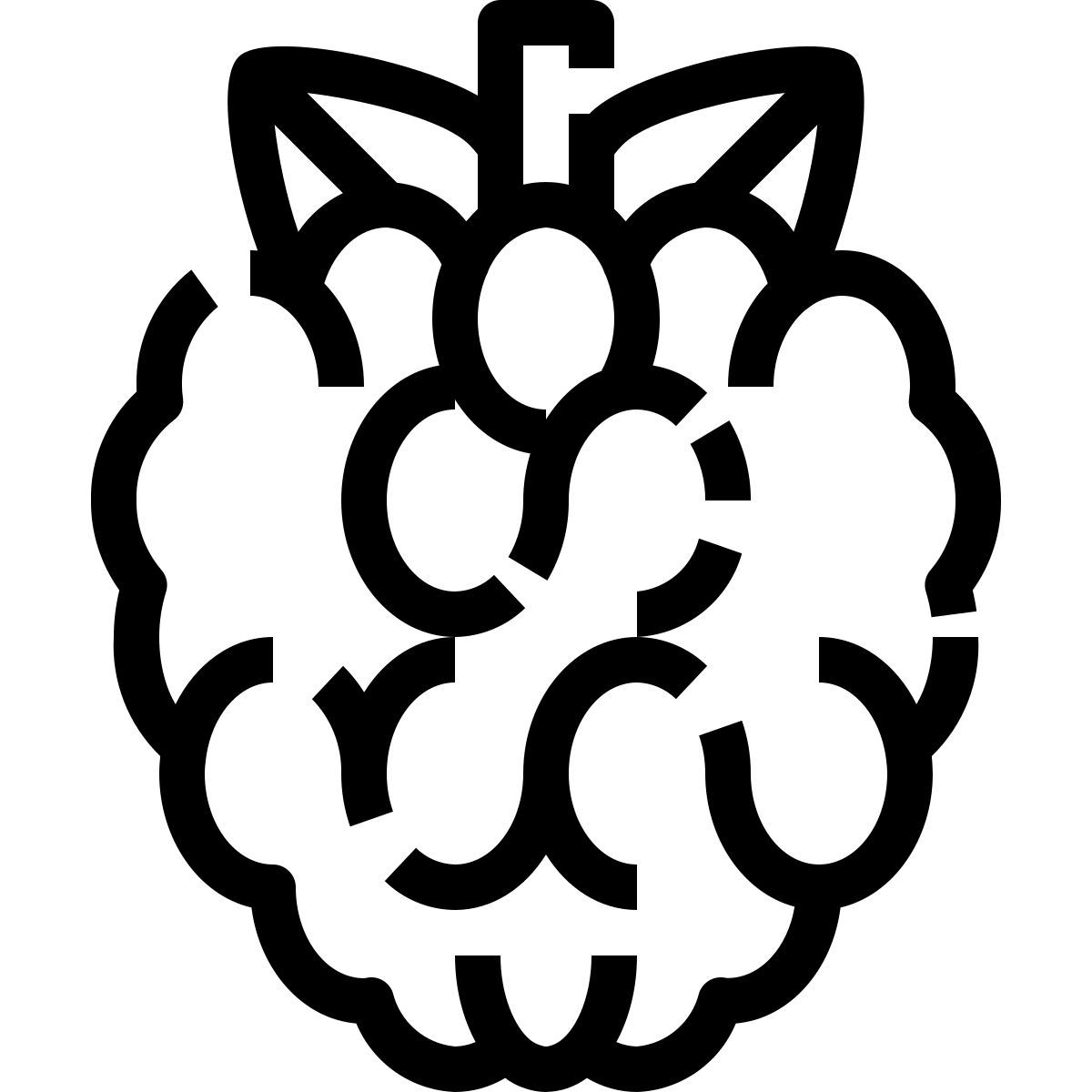 raspberry icon