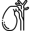 external-gallbladder-human-organs-justicon-lineal-justicon