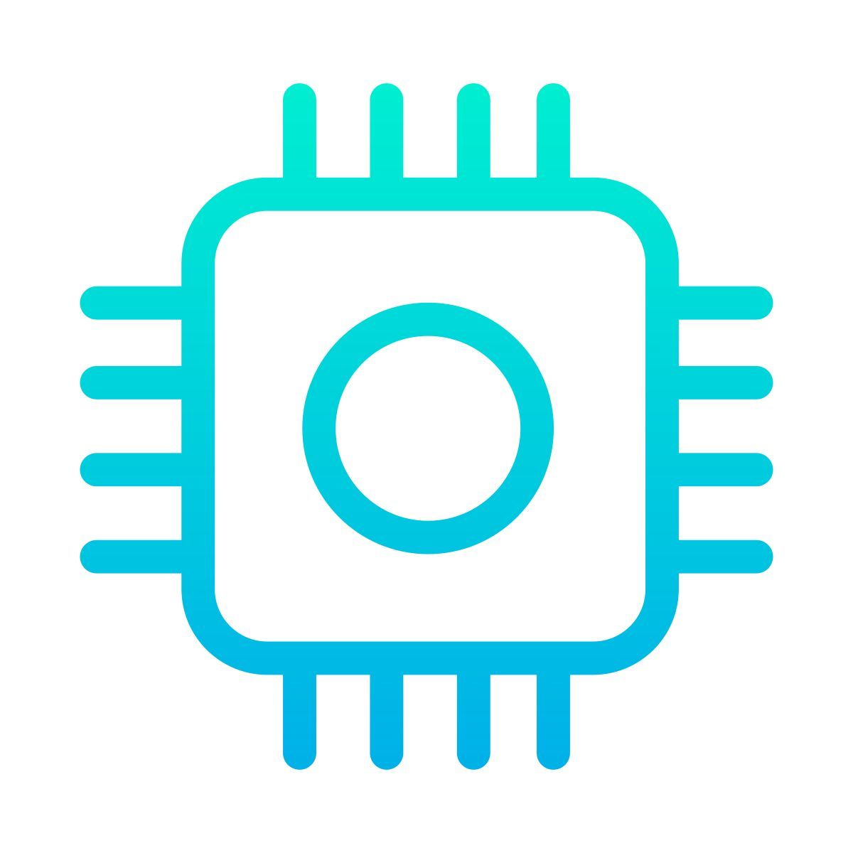 chip icon