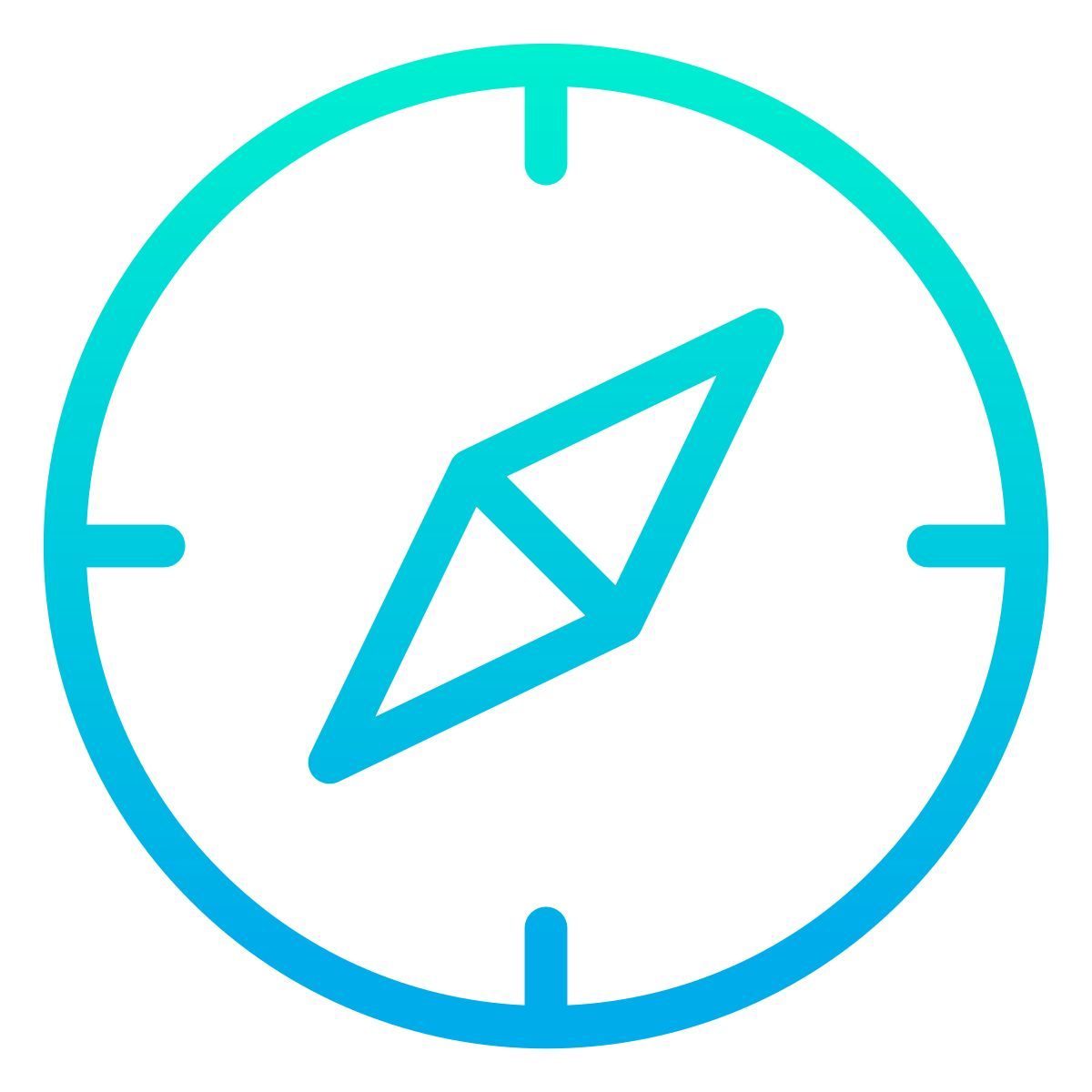 compass icon