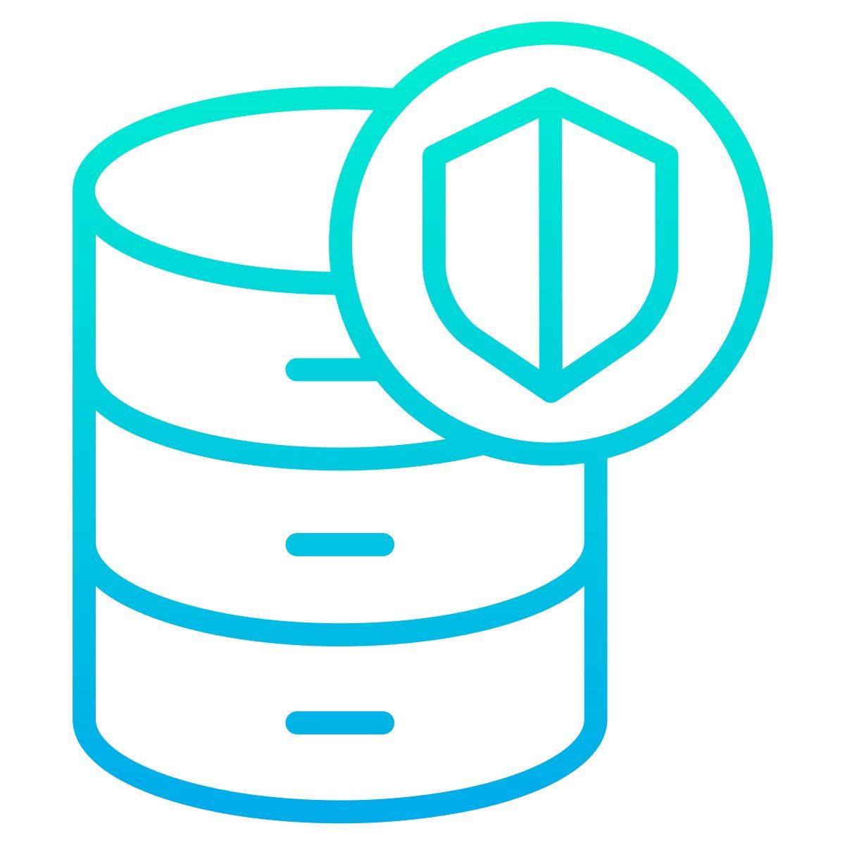 database icon