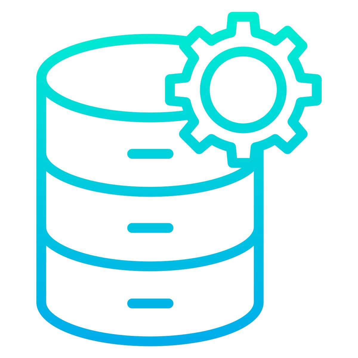 database icon