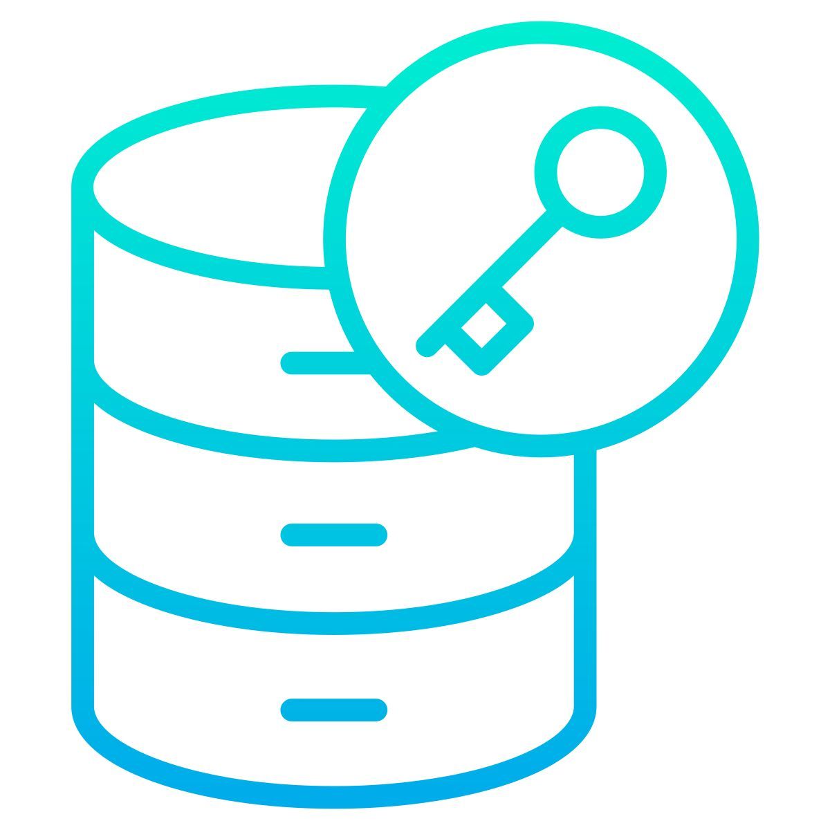 database icon