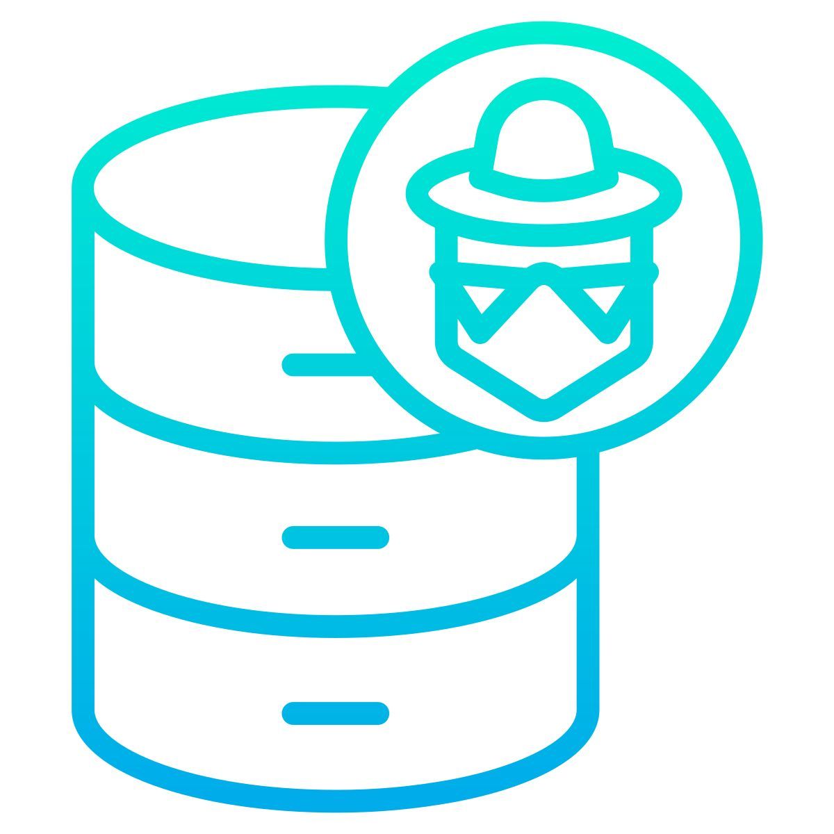 database icon