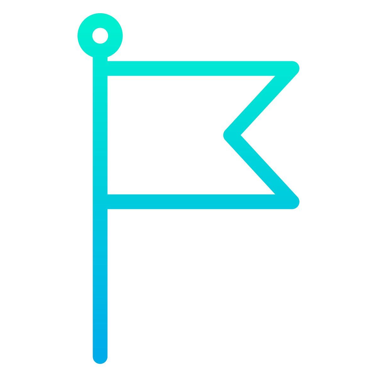 flag icon