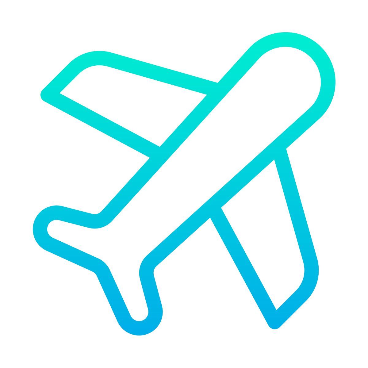 flight icon