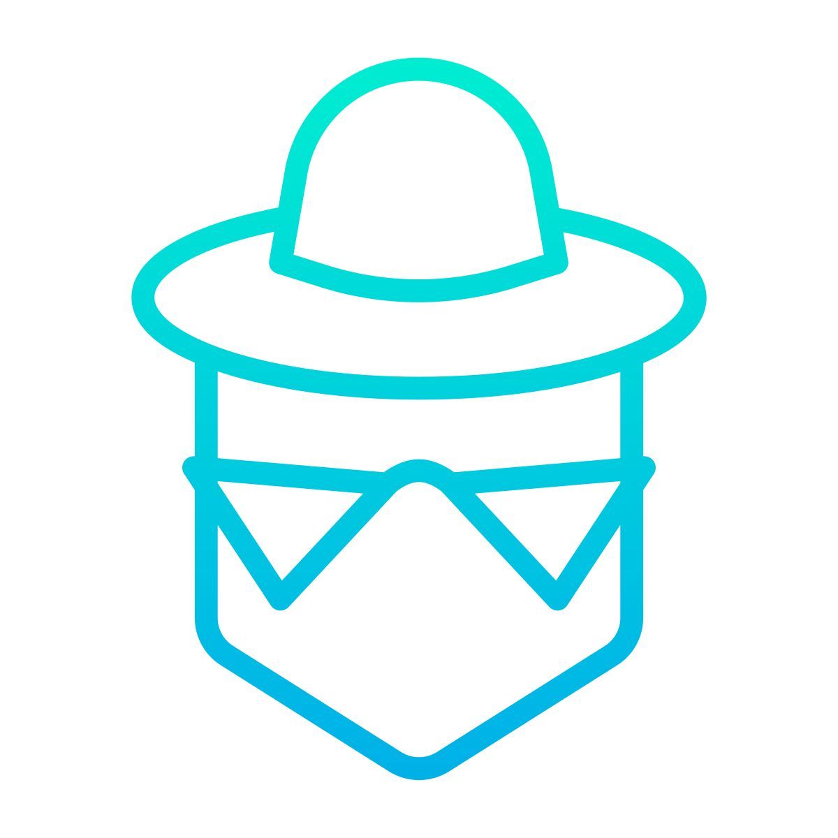 hacker icon