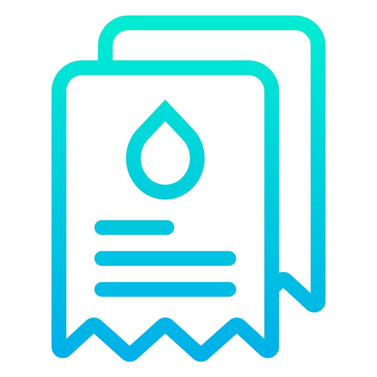 发票 icon